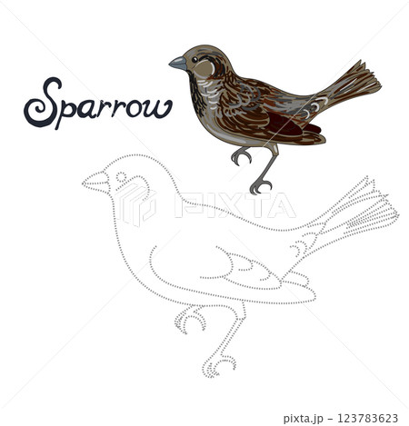 Educational game connect dots to draw sparrow bird Educational game connect dots to draw sparrow bird 123783623