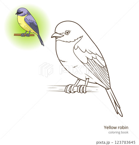 Yellow robin bird coloring book vector Yellow robin bird coloring book vector 123783645