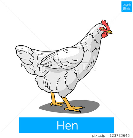 Hen learn birds educational game vector Hen learn birds educational game vector 123783646