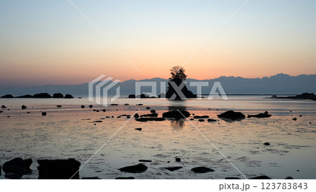 雨晴海岸の夜明け 123783843