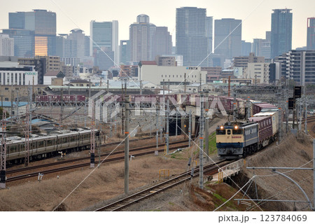 北方貨物線を走るEF652097コンテナ貨物列車 123784069