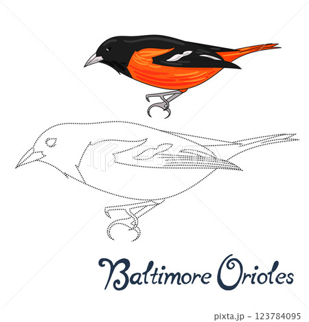 Educational game connect dots to draw bird Educational game connect dots to draw bird 123784095