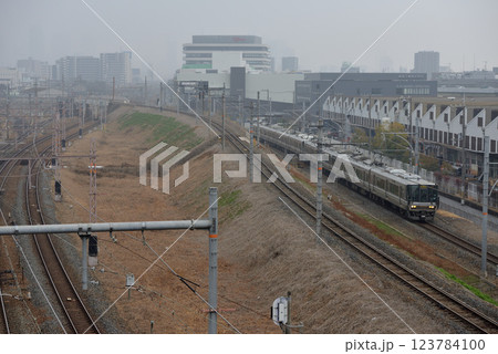 東海道本線を走る223系丹波路快速8両 123784100