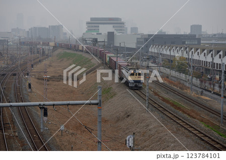 北方貨物線を走るEF652085コンテナ貨物列車 123784101