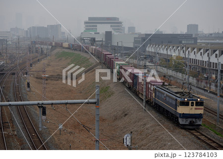 北方貨物線を走るEF652085コンテナ貨物列車 123784103