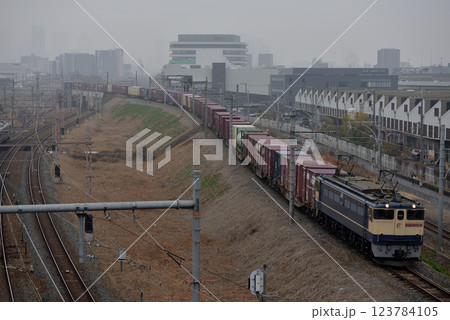 北方貨物線を走るEF652085コンテナ貨物列車 北方貨物線を走るEF652085コンテナ貨物列車 123784105