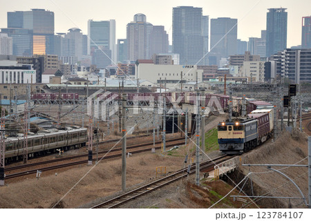 北方貨物線を走るEF652097コンテナ貨物列車 123784107
