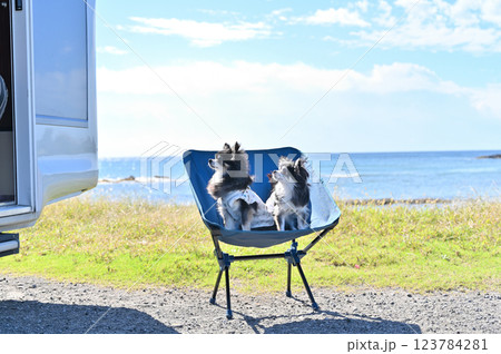 海で愛犬とオートキャンプ チワワ キャンピングカー 海で愛犬とオートキャンプ チワワ キャンピングカー 123784281