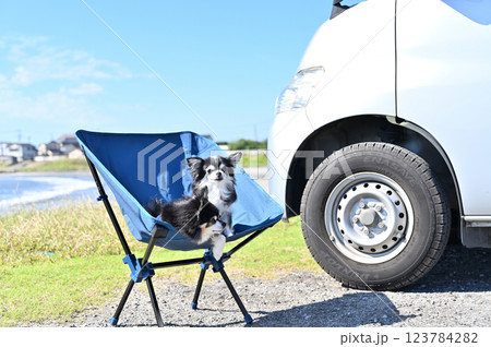 海で愛犬とオートキャンプ　チワワ　キャンピングカー 123784282