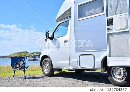 海で愛犬とオートキャンプ　チワワ　キャンピングカー 123784287