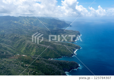 Aerial view of Hiva Oa island in the Marquesas, French Polynesia 123784307