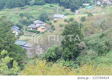 里山風景　愛知県 新城市 123784424
