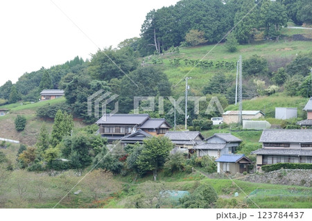 里山風景 愛知県 新城市 里山風景 愛知県 新城市 123784437