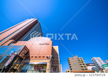 日本の東京都市景観 三軒茶屋駅前のキャロットタワーなどを望む 123784729