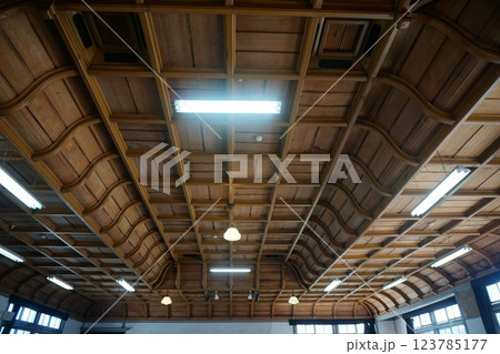 旧遷喬尋常小学校校舎の格天井：岡山県真庭市にある歴史的建築物 123785177