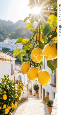 picturesque Mediterranean village street lined with lemon trees under warm sunlight 123785226
