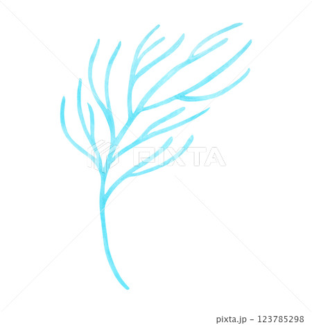 Branching blue coral. Watercolor and marker illustrations. Ocean coral reefs, underwater animals of the seabed. Hand drawn isolated art. Underwater exotic nature marine ecosystem for travel guides. 123785298