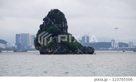 ベトナム、ハロン湾 ゴリラ岩 2024年5月 ベトナム、ハロン湾 ゴリラ岩 2024年5月 123785506