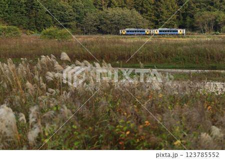 紅葉の小海線 紅葉の小海線 123785552