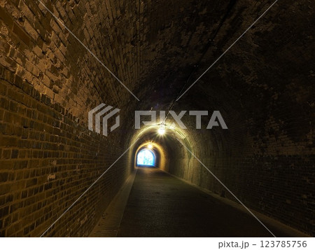 静岡県　宇津ノ谷隧道（明治のトンネル）　3月 123785756