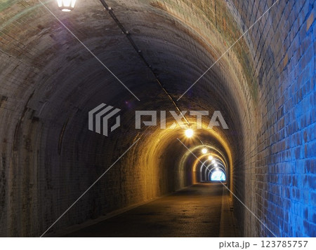 静岡県　宇津ノ谷隧道（明治のトンネル）　3月 123785757