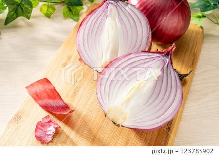 赤玉ねぎ 赤玉ねぎ 123785902