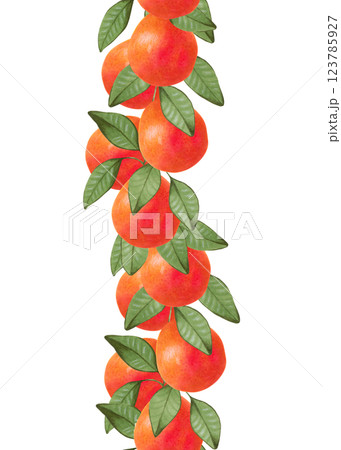 Citrus grapefruit on branches. Seamless vertical frame of fruit. Whole and slices of orange with leaves. Watercolor, marker illustration. Hand drawn isolated art. Botanical border for food packaging. 123785927