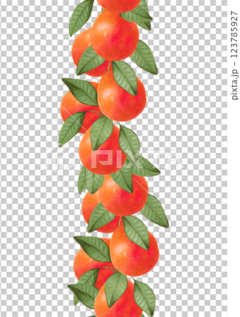 Citrus grapefruit on branches. Seamless vertical frame of fruit. Whole and slices of orange with leaves. Watercolor, marker illustration. Hand drawn isolated art. Botanical border for food packaging. 123785927
