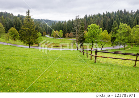 countryside landscape in spring. wooden fence on the grassy meadow and forest on the hill. beautiful view in to the valley countryside landscape in spring. wooden fence on the grassy meadow and forest on the hill. beautiful view in to the valley 123785971