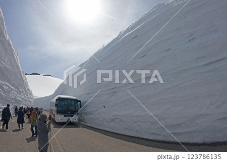 雪の大谷(富山県立山町) 雪の大谷(富山県立山町) 123786135