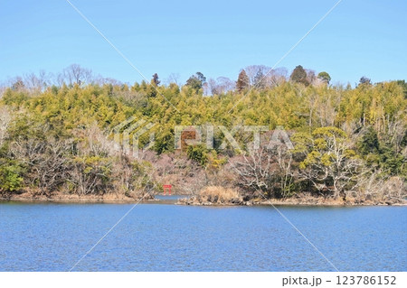 寒い早春の一碧湖風景 123786152