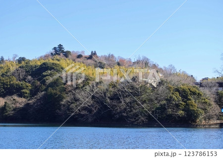 寒い早春の一碧湖風景 寒い早春の一碧湖風景 123786153