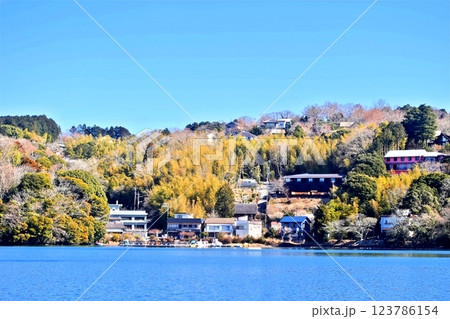 寒い早春の一碧湖風景 寒い早春の一碧湖風景 123786154
