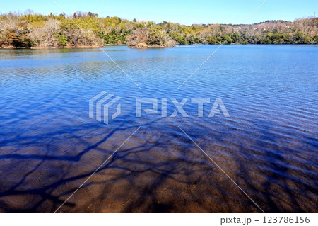 寒い早春の一碧湖風景 123786156