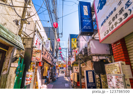 日本の東京都市景観 三軒茶屋駅すぐの飲み屋街「すずらん通」などを望む 123786500