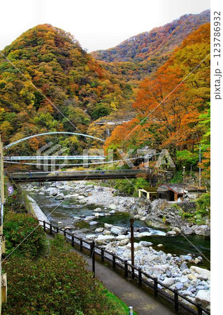 錦秋の川治温泉郷… 温泉宿の窓から眺める男鹿川 123786932