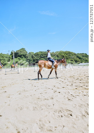 馬に乗って乗馬の練習をする女性 馬に乗って乗馬の練習をする女性 123787051