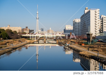 【河津桜】早朝の旧中川に咲く早咲きの桜と成田エクスプレス 123787088