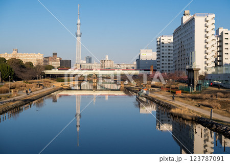 【河津桜】早朝の旧中川に咲く早咲きの桜と成田エクスプレス 123787091