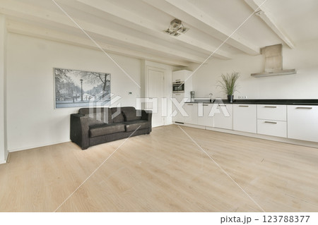 A spacious, bright kitchen connected to a minimalist living area featuring a dark sofa. The clean design emphasizes simplicity and functionality. A spacious, bright kitchen connected to a minimalist living area featuring a dark sofa. The clean design emphasizes simplicity and functionality. 123788377