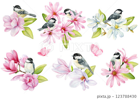 Spring birds and pink magnolia flowers illustration, hand painted nature design Watercolor floral cute songbird isolated 123788430