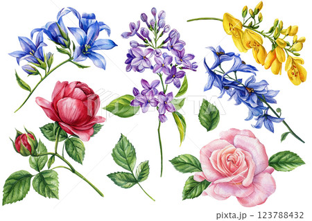 Watercolor Floral Bouquet. Hand Painted Wildflowers, Roses, Lilacs, and Botanical Blooms Elegant Design and Decoration 123788432