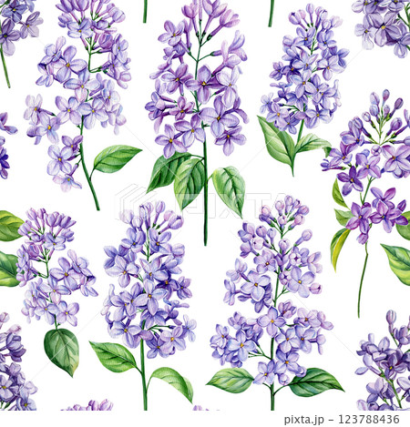 Trendy hand drawn meadow florals, lilac flower illustration seamless pattern design for fashion, fabric, textile, cover Trendy hand drawn meadow florals, lilac flower illustration seamless pattern design for fashion, fabric, textile, cover 123788436