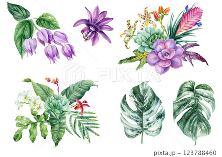 flowers, succulents, monstera palm leaf isolated, tropical green plant illustration, hand painted nature foliage clipart flowers, succulents, monstera palm leaf isolated, tropical green plant illustration, hand painted nature foliage clipart 123788460
