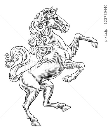 Heraldic Coat of Arms Crest Rearing Heraldry Horse 123789440