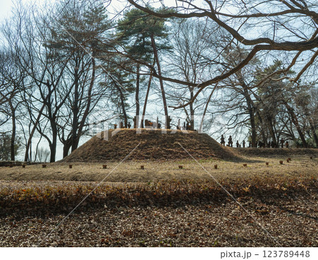 大室公園でヒソヒソお喋りをしているかのような埴輪 大室公園でヒソヒソお喋りをしているかのような埴輪 123789448