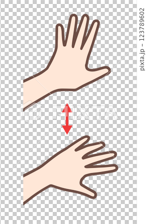 羽ばたき振戦、手の震え 123789602