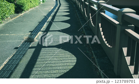 歩道　点字ブロックと欄干の影 123789701