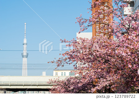 【河津桜】旧中川に咲く早咲きの桜と列車 【河津桜】旧中川に咲く早咲きの桜と列車 123789722