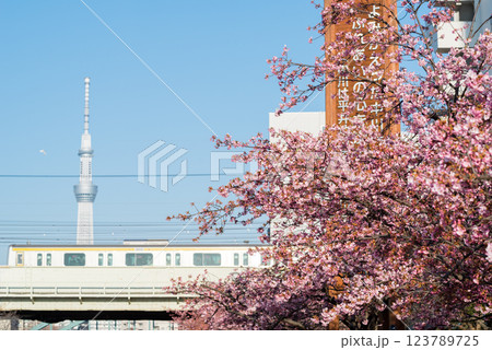【河津桜】旧中川に咲く早咲きの桜と列車 123789725